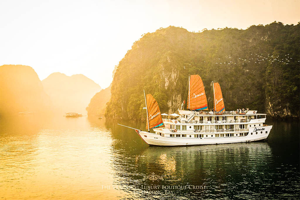 Start your extension journey with Halong’s serene glow